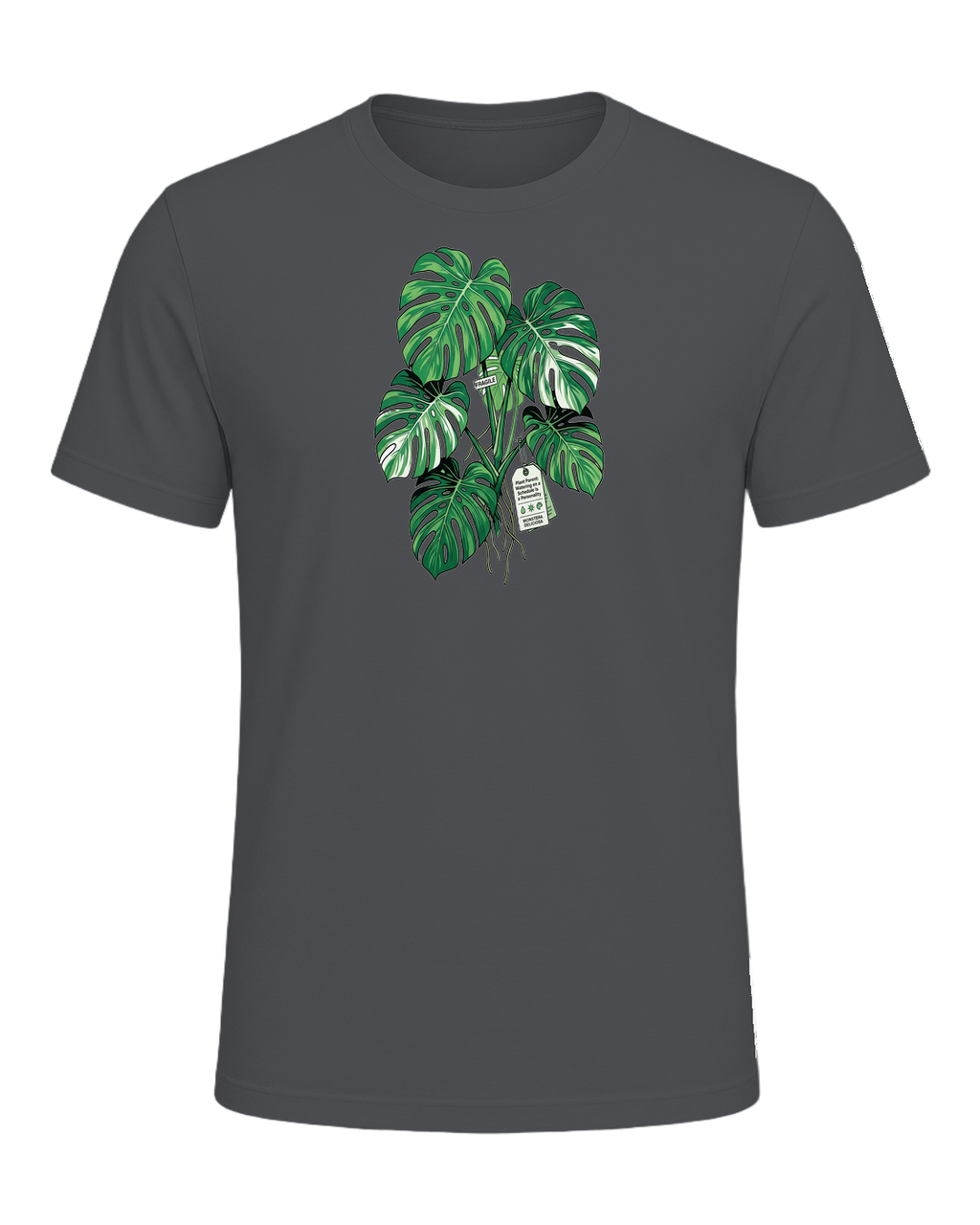 Plant Parent — Asphalt
