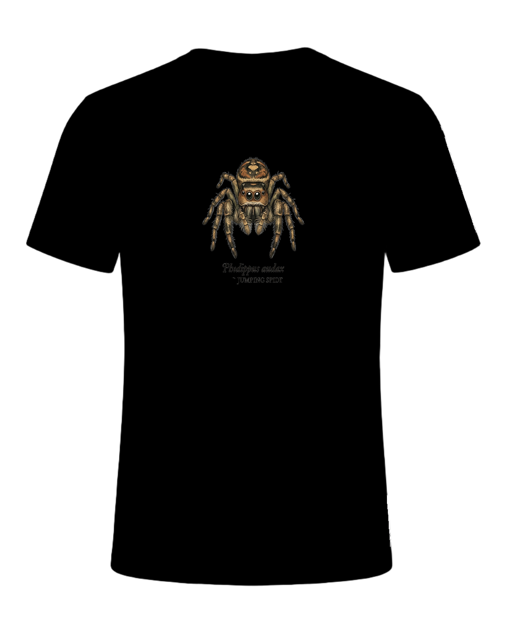 Jumping Spider Close-up Art — Black