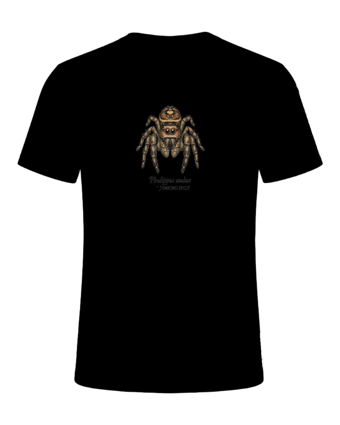 Jumping Spider Close-up Art — Black