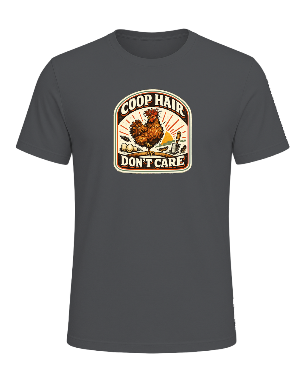 Coop Hair Don't Care Tee — Asphalt