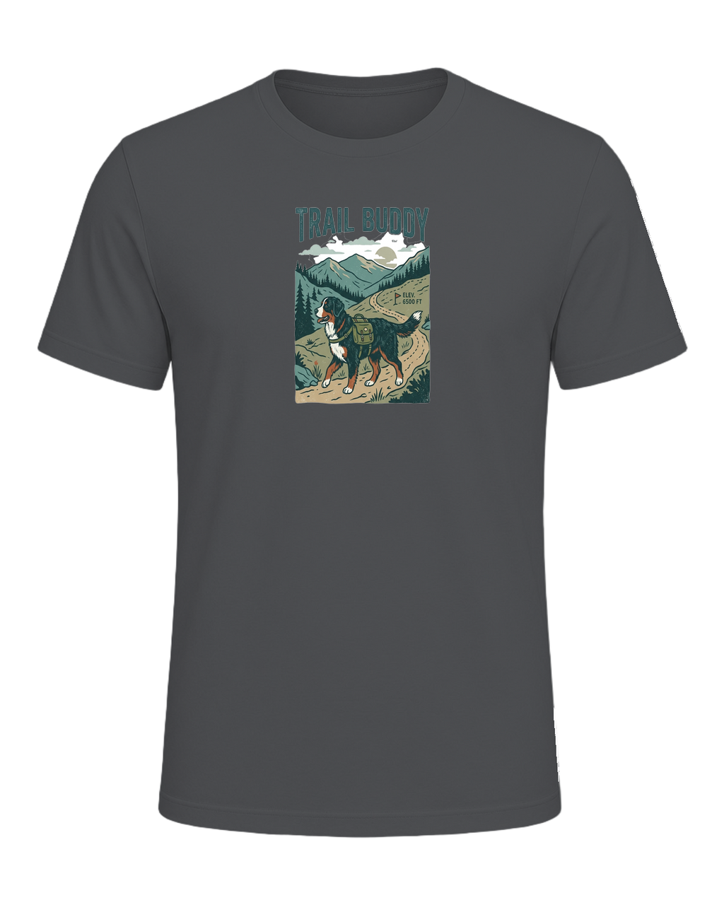 Bernese Mountain Dog Hiking — Asphalt