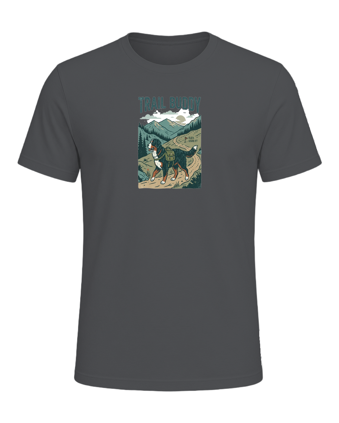 Bernese Mountain Dog Hiking — Asphalt