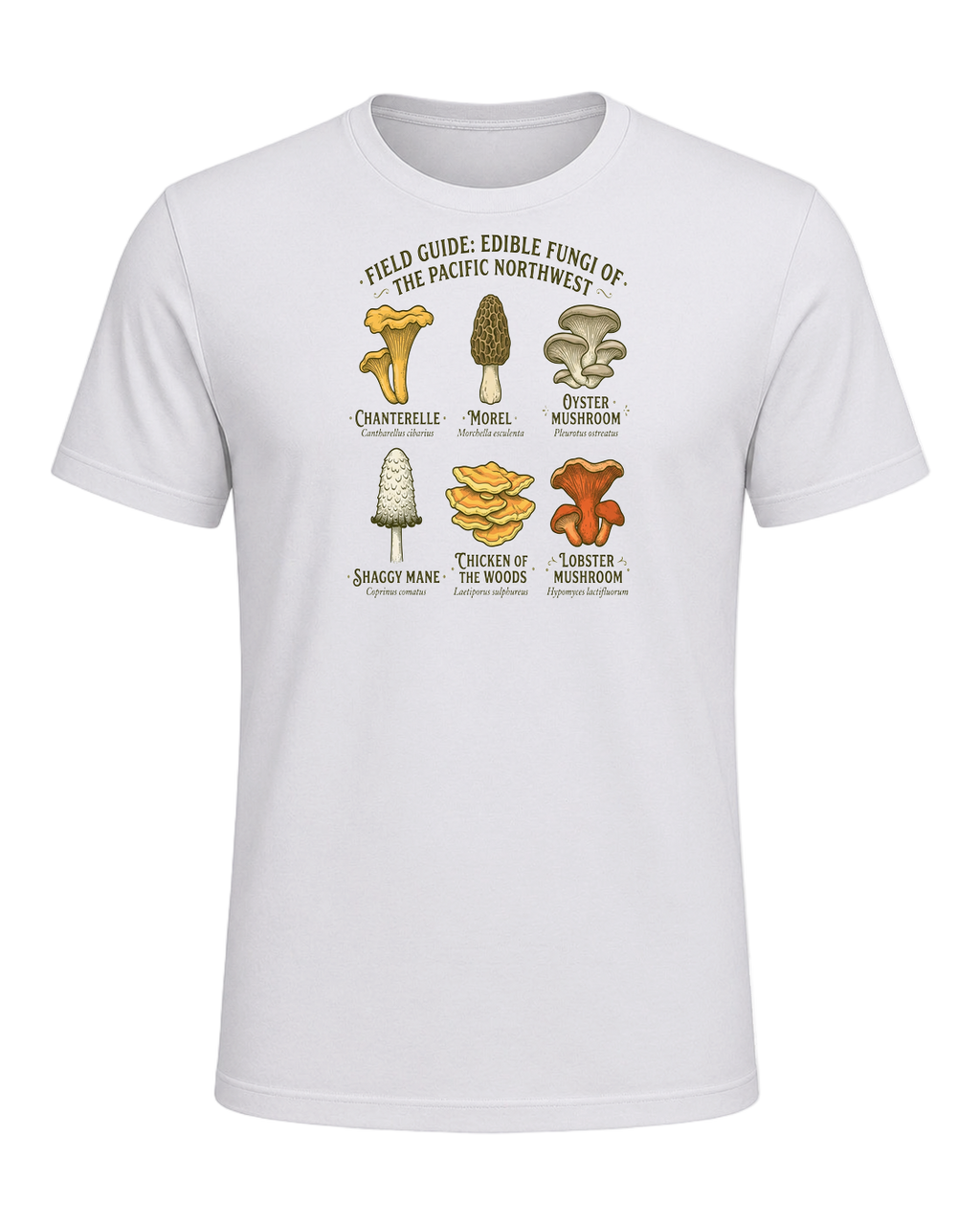 Foraging / Mushroom Hunter — Ash