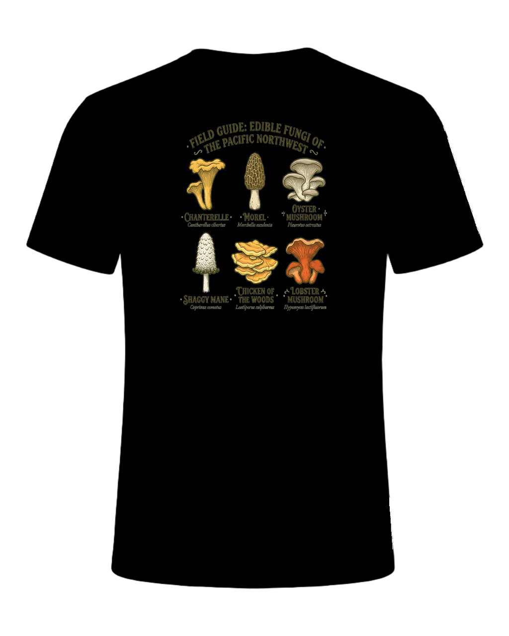 Foraging / Mushroom Hunter — Black