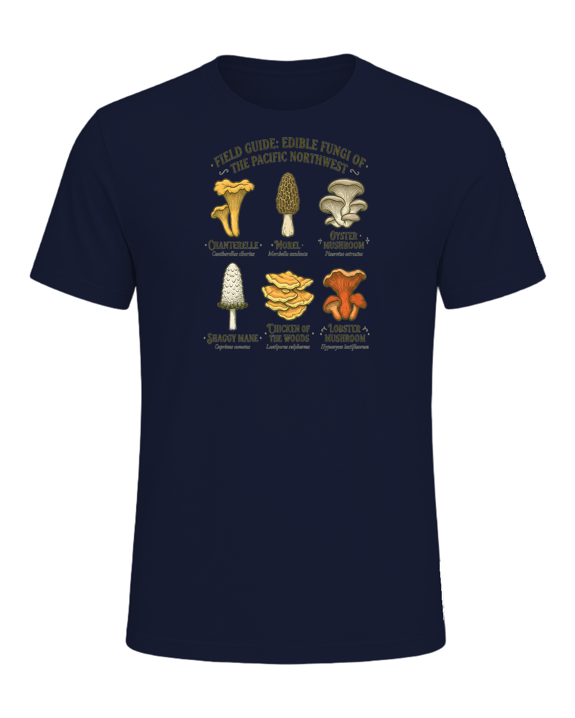 Foraging / Mushroom Hunter — Navy