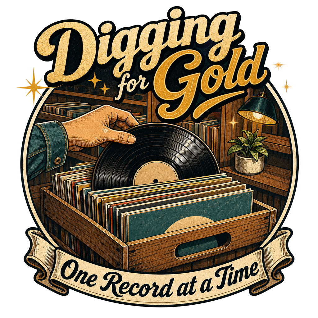 Vinyl Record Digger