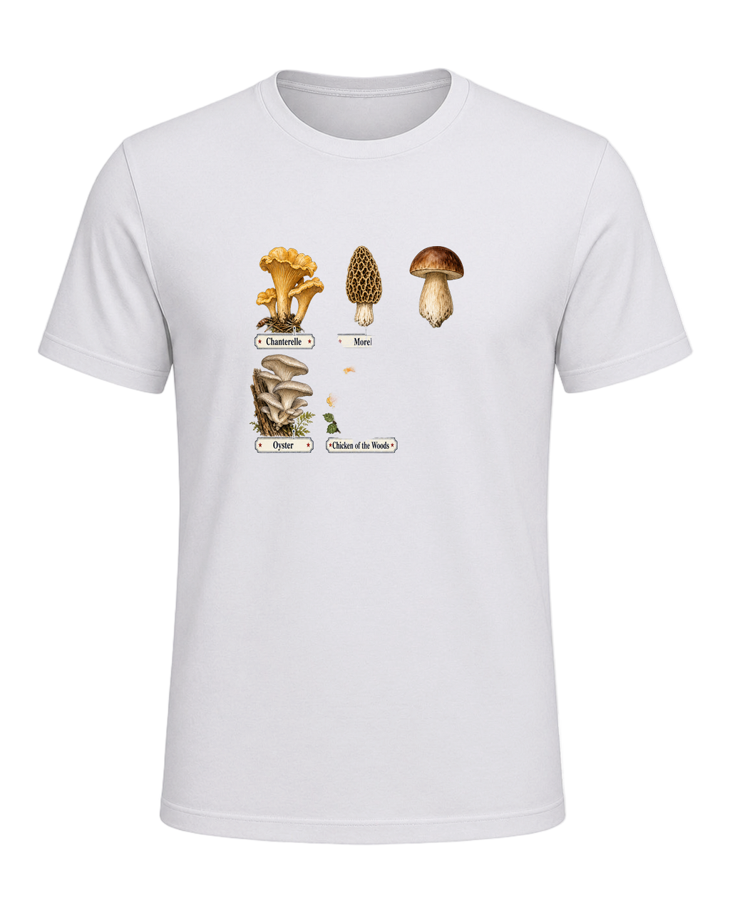 Foraging / Mushroom Hunter — Ash