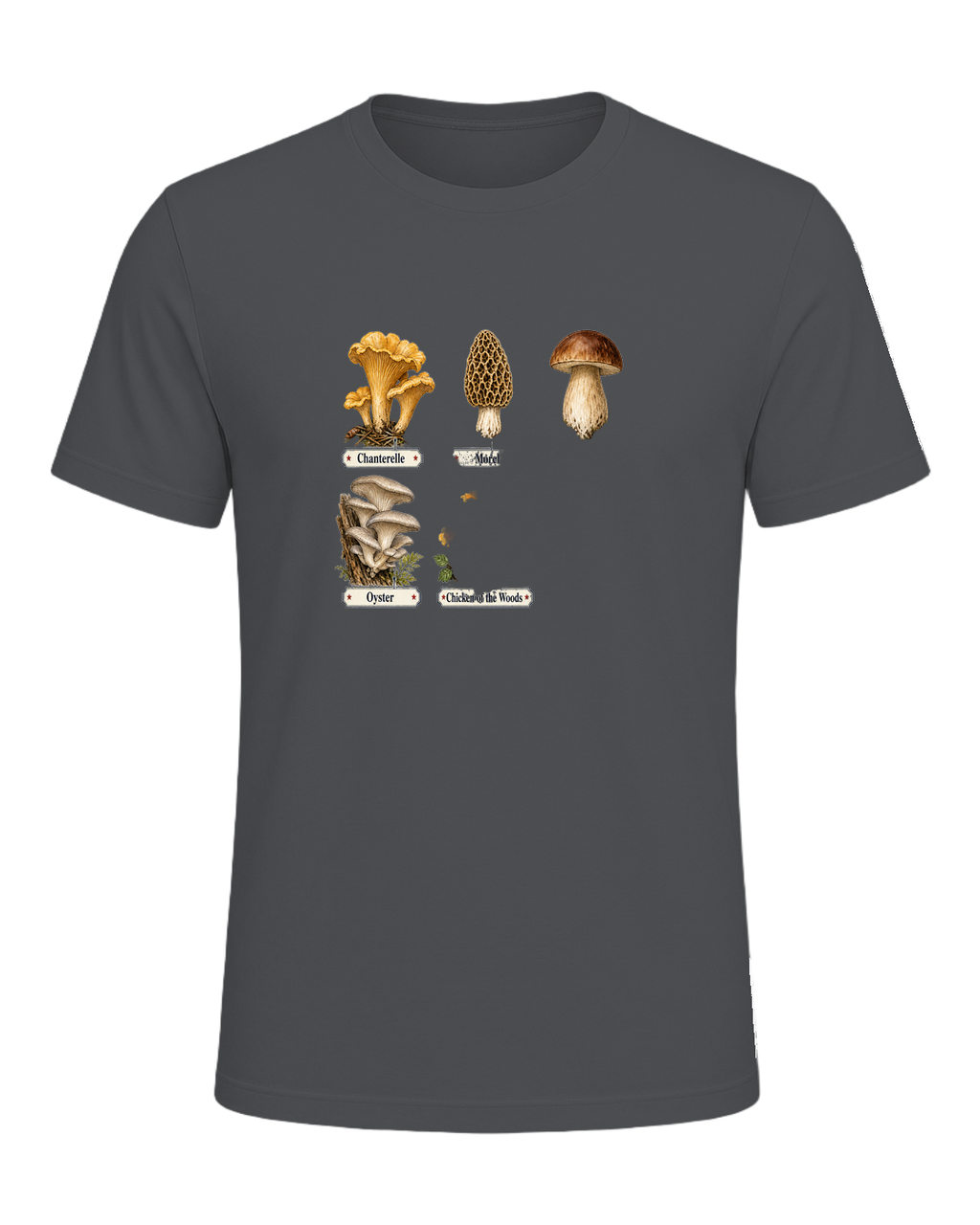 Foraging / Mushroom Hunter — Asphalt