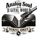 Vinyl Record Collector