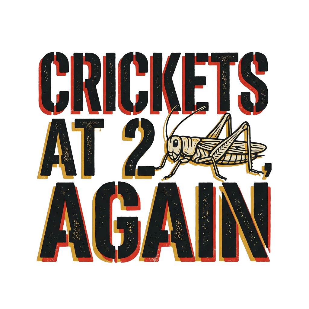 CRICKETS AT 2AM, AGAIN