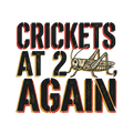 CRICKETS AT 2AM, AGAIN