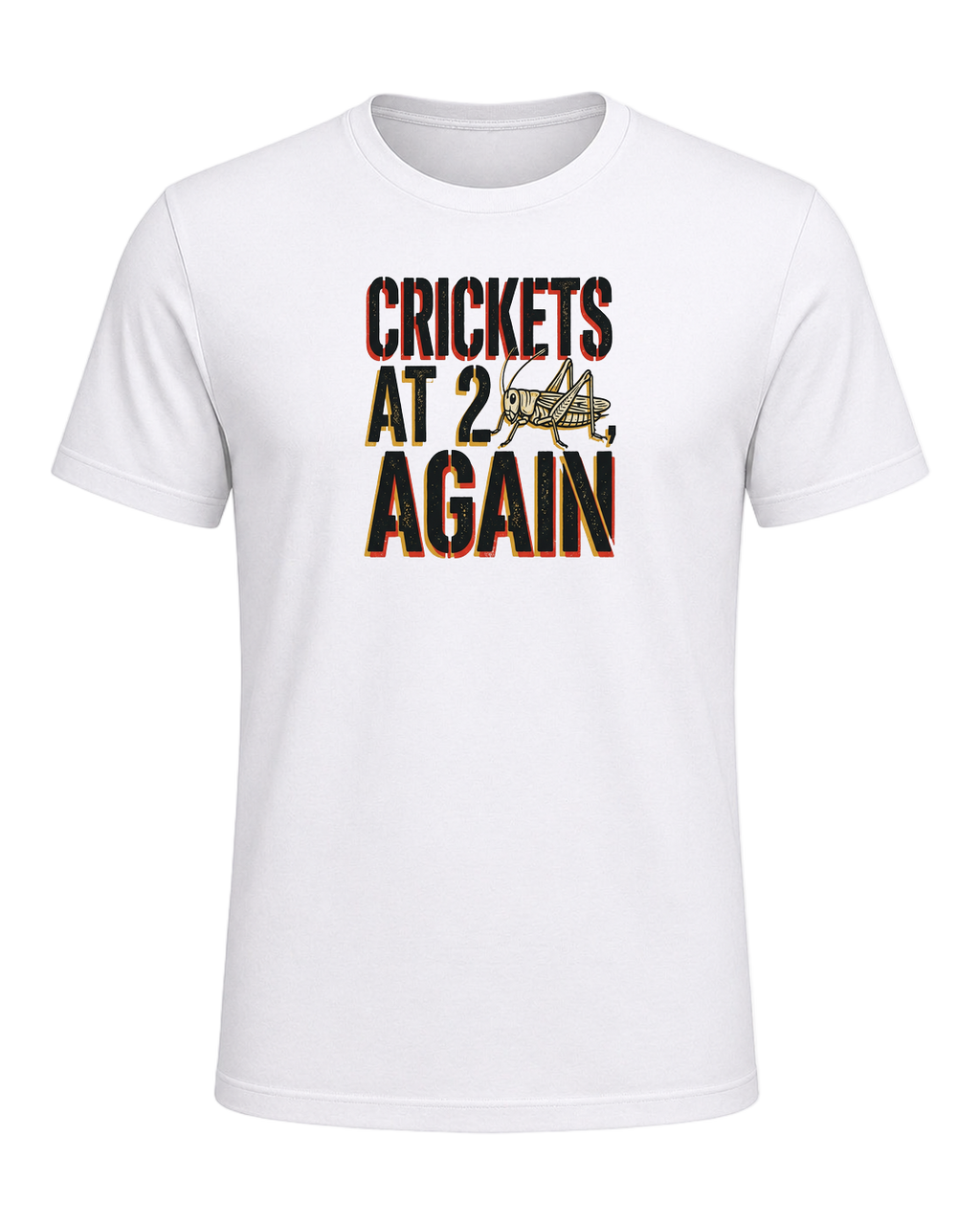 CRICKETS AT 2AM, AGAIN — White