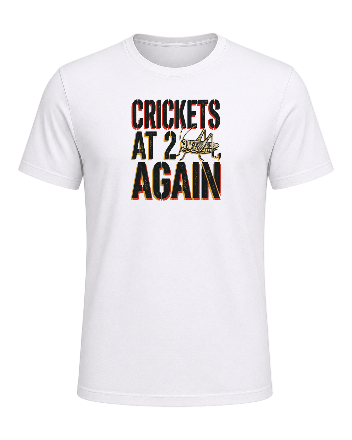 CRICKETS AT 2AM, AGAIN — White