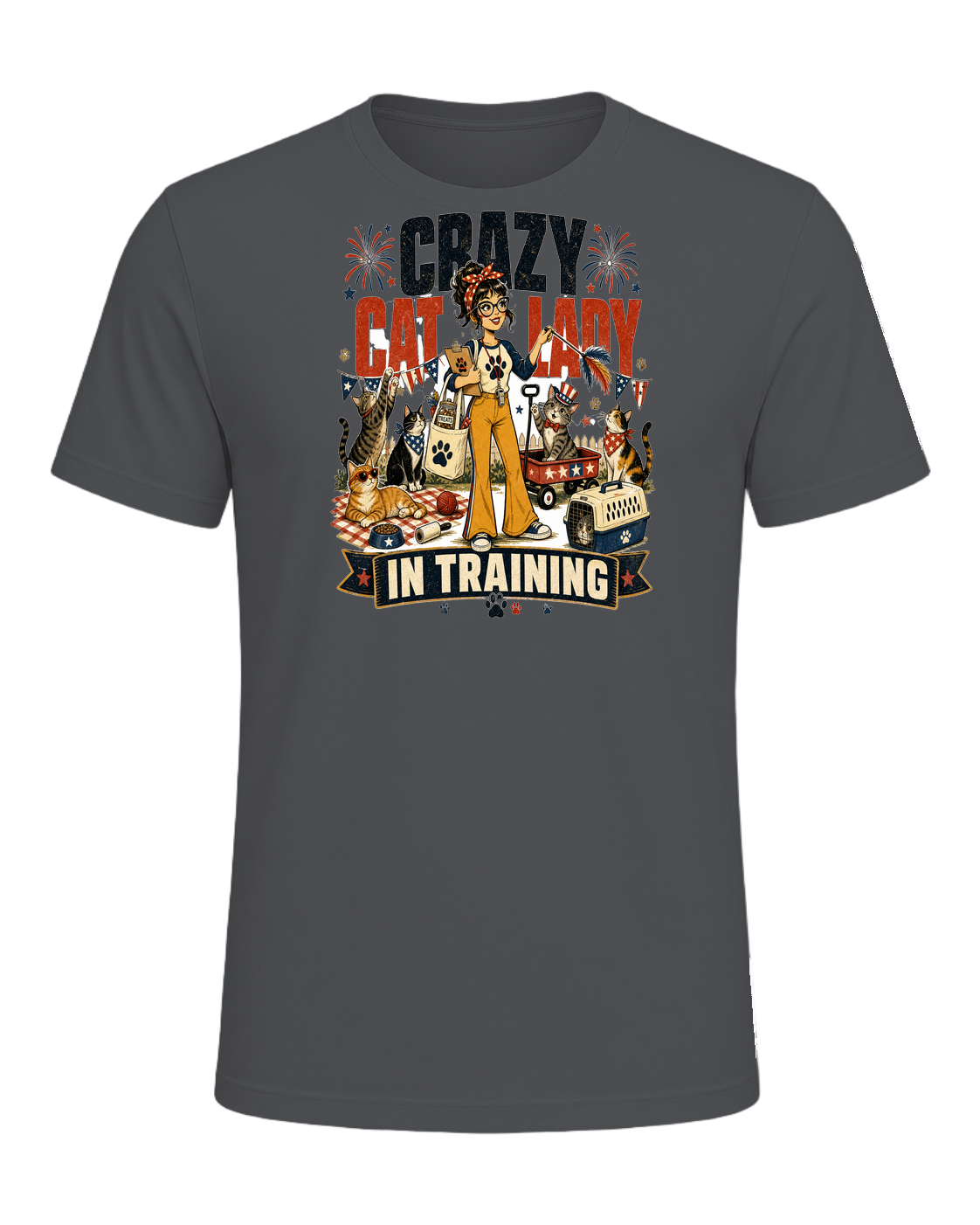 CRAZY CAT LADY IN TRAINING — Asphalt