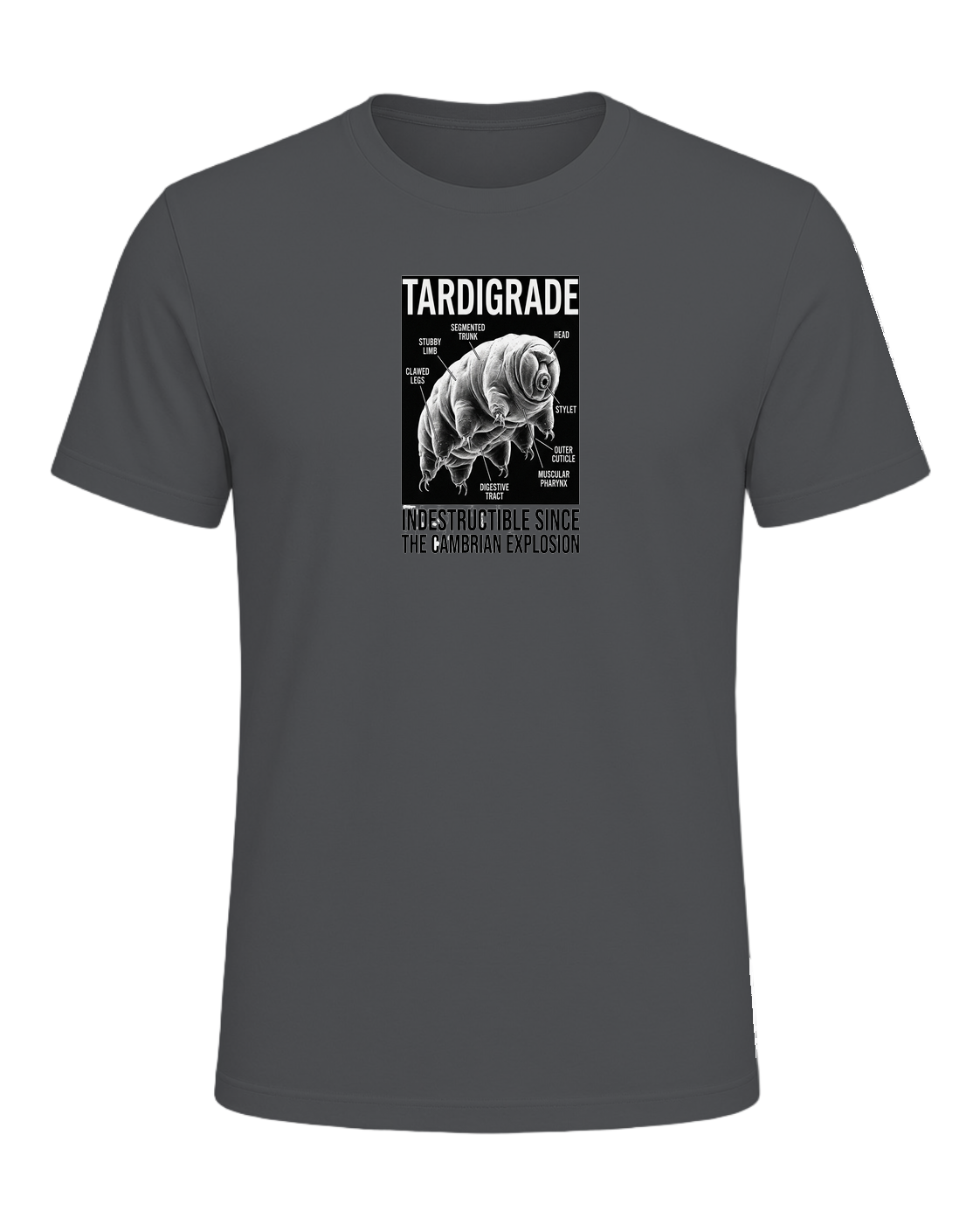 Tardigrade Science Nerd — Asphalt