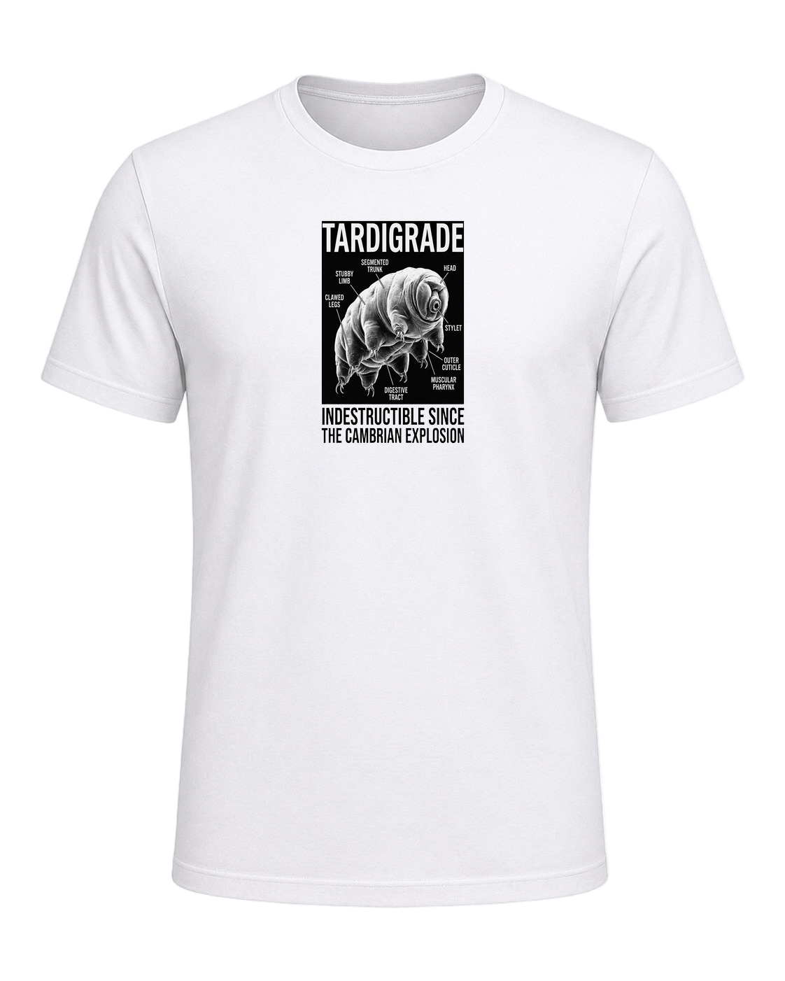 Tardigrade Science Nerd — White