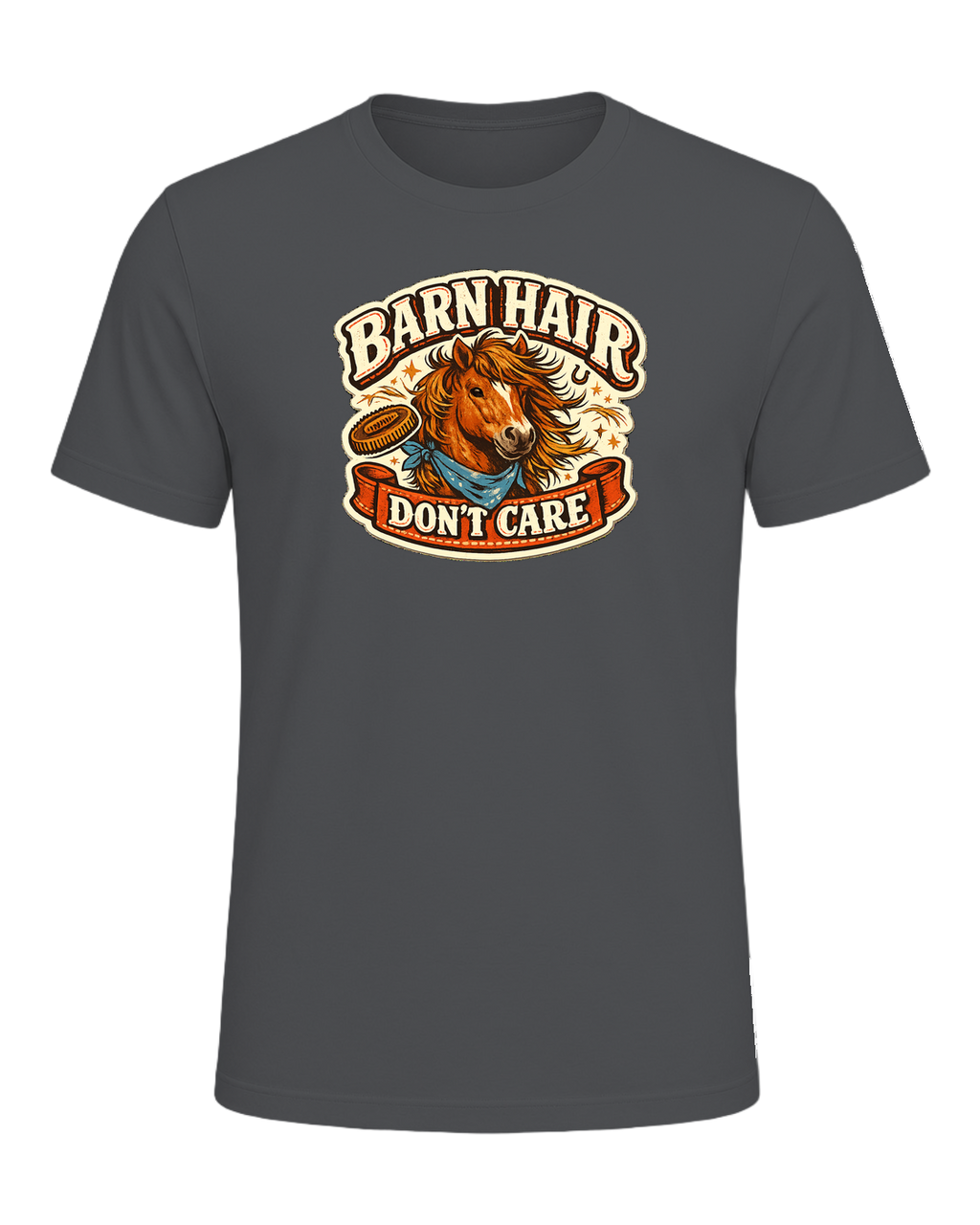 Barn Hair Don't Care Tee — Asphalt