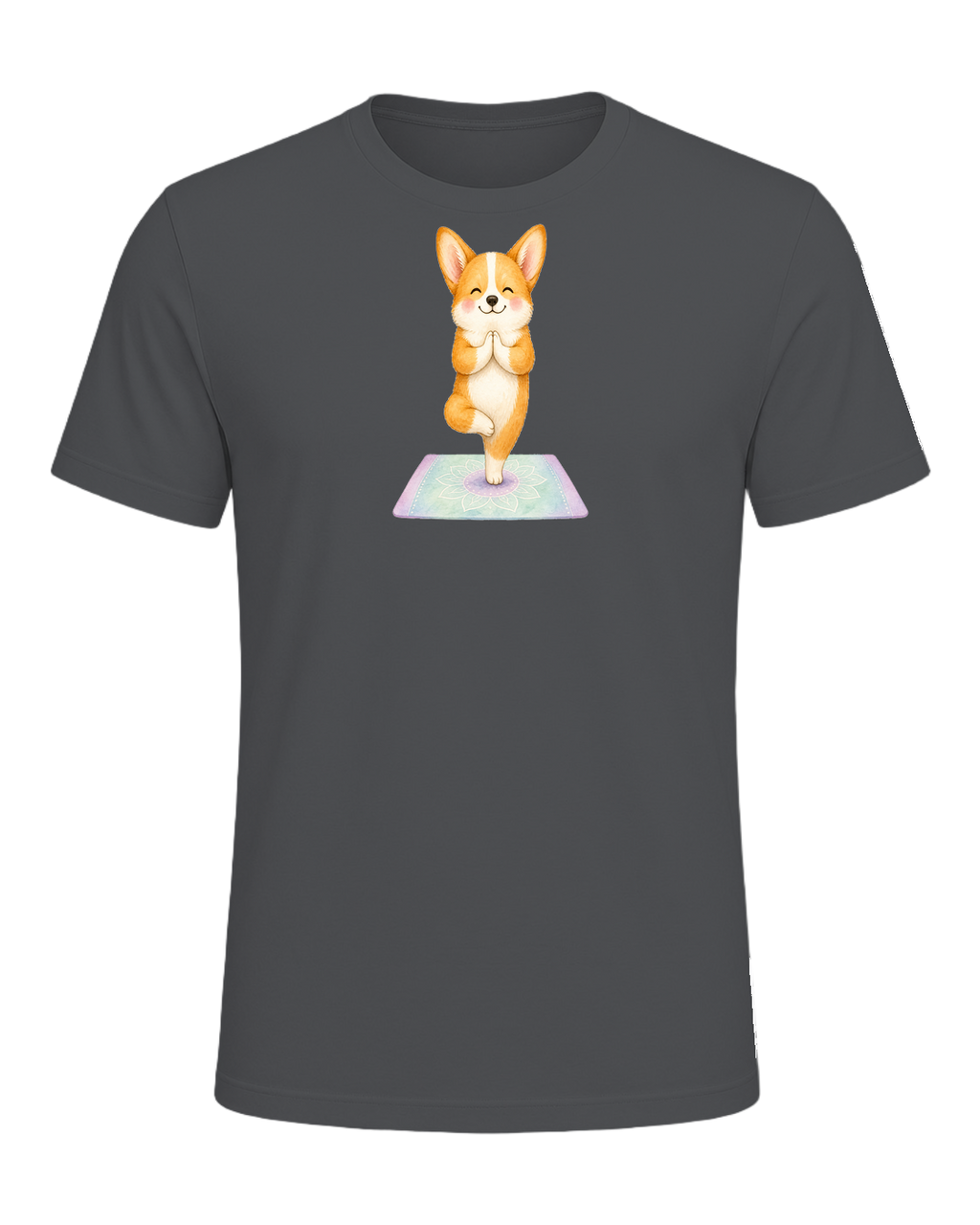 Corgi + Yoga — Asphalt