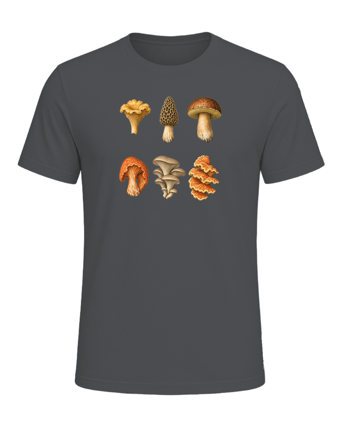 Foraging / Mushroom Hunter — Asphalt