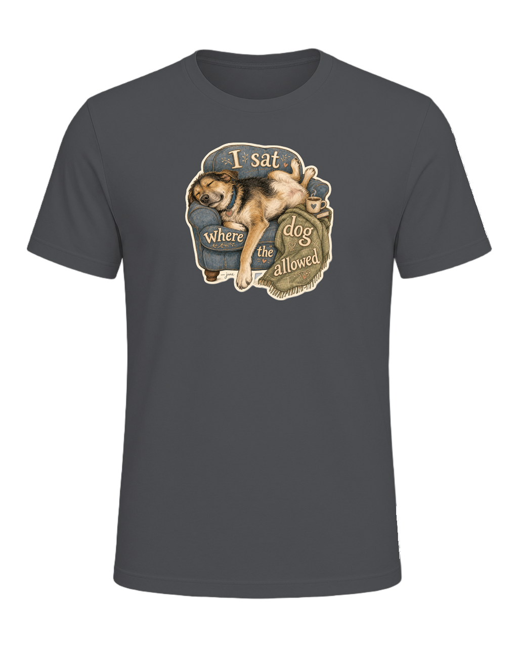 I Sat Where The Dog Allowed Tee — Asphalt