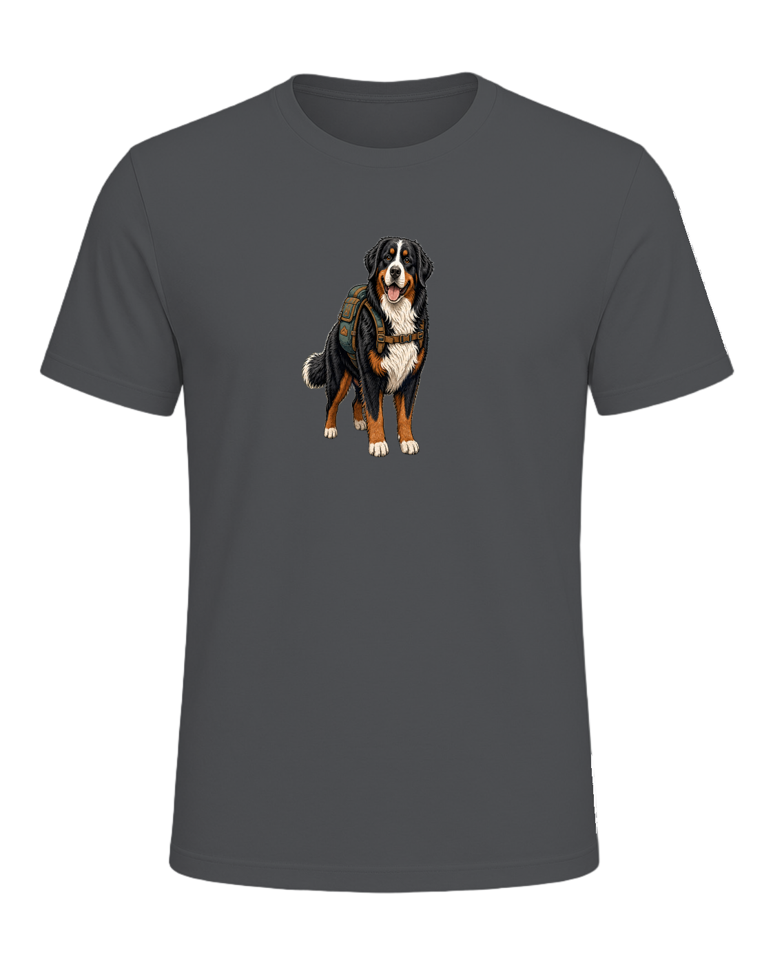 Bernese Mountain Dog Hiking — Asphalt