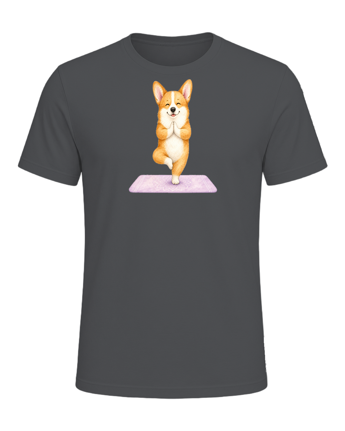 Corgi + Yoga — Asphalt