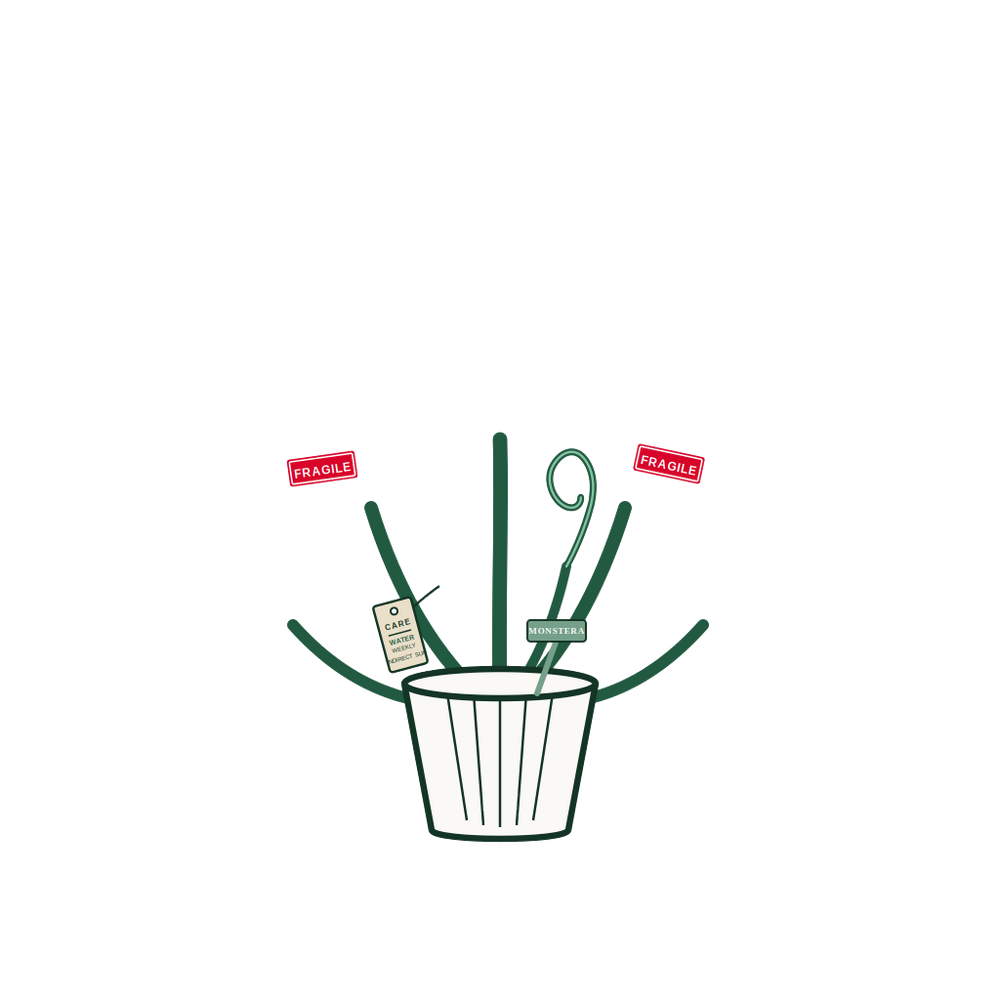 Monstera Plant Parent: Watering Schedule Tee