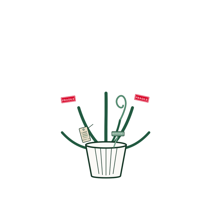 Monstera Plant Parent: Watering Schedule Tee