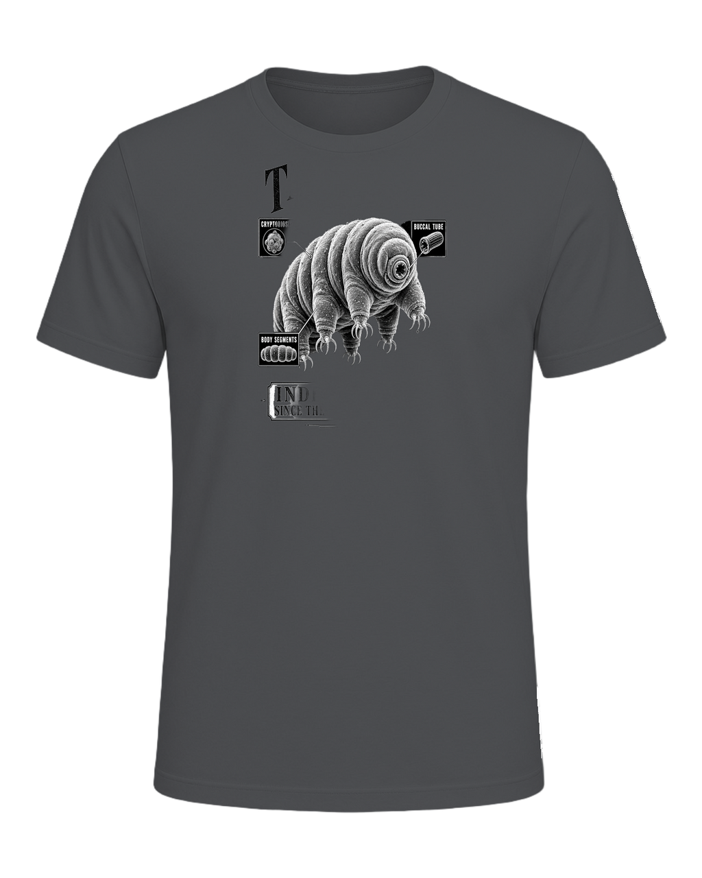 Tardigrade Science Nerd — Asphalt