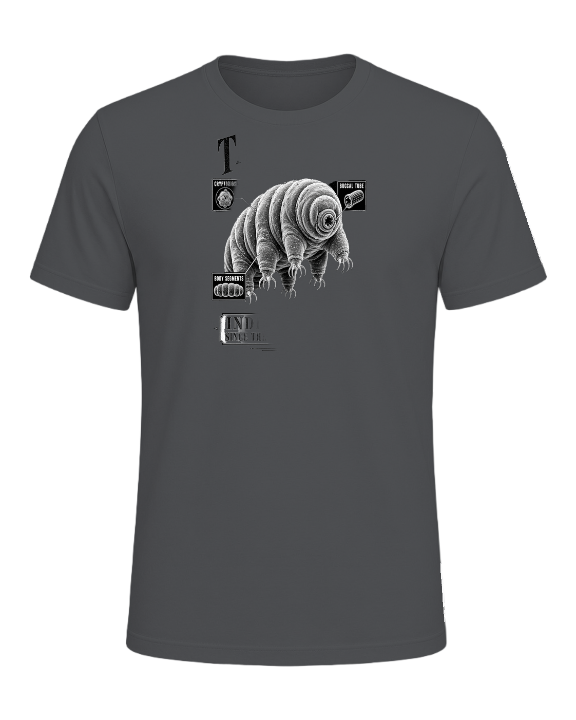 Tardigrade Science Nerd — Asphalt