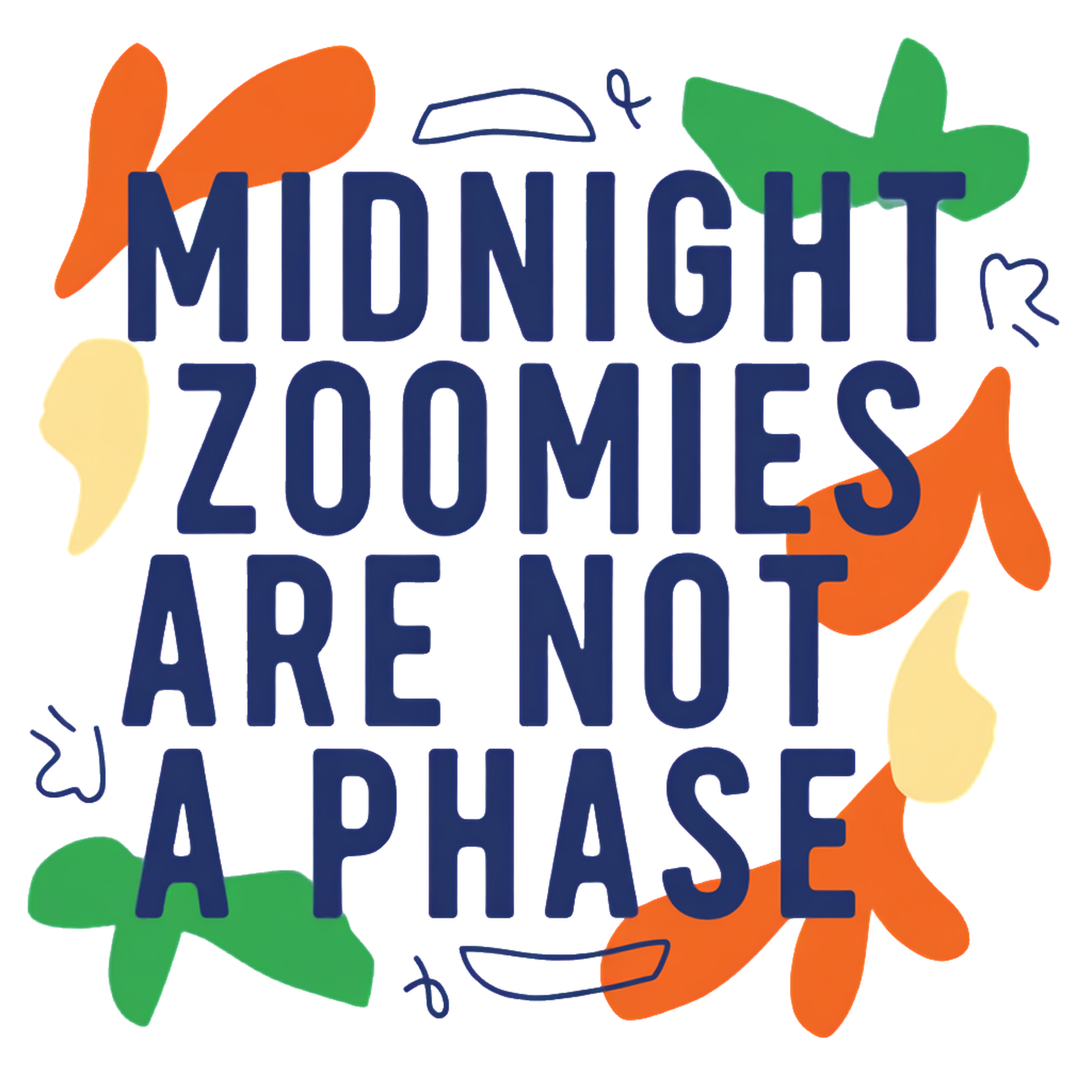 midnight zoomies are not a phase