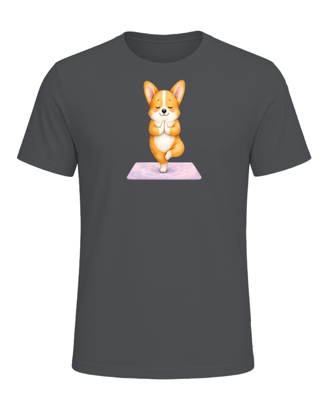 Corgi + Yoga — Asphalt