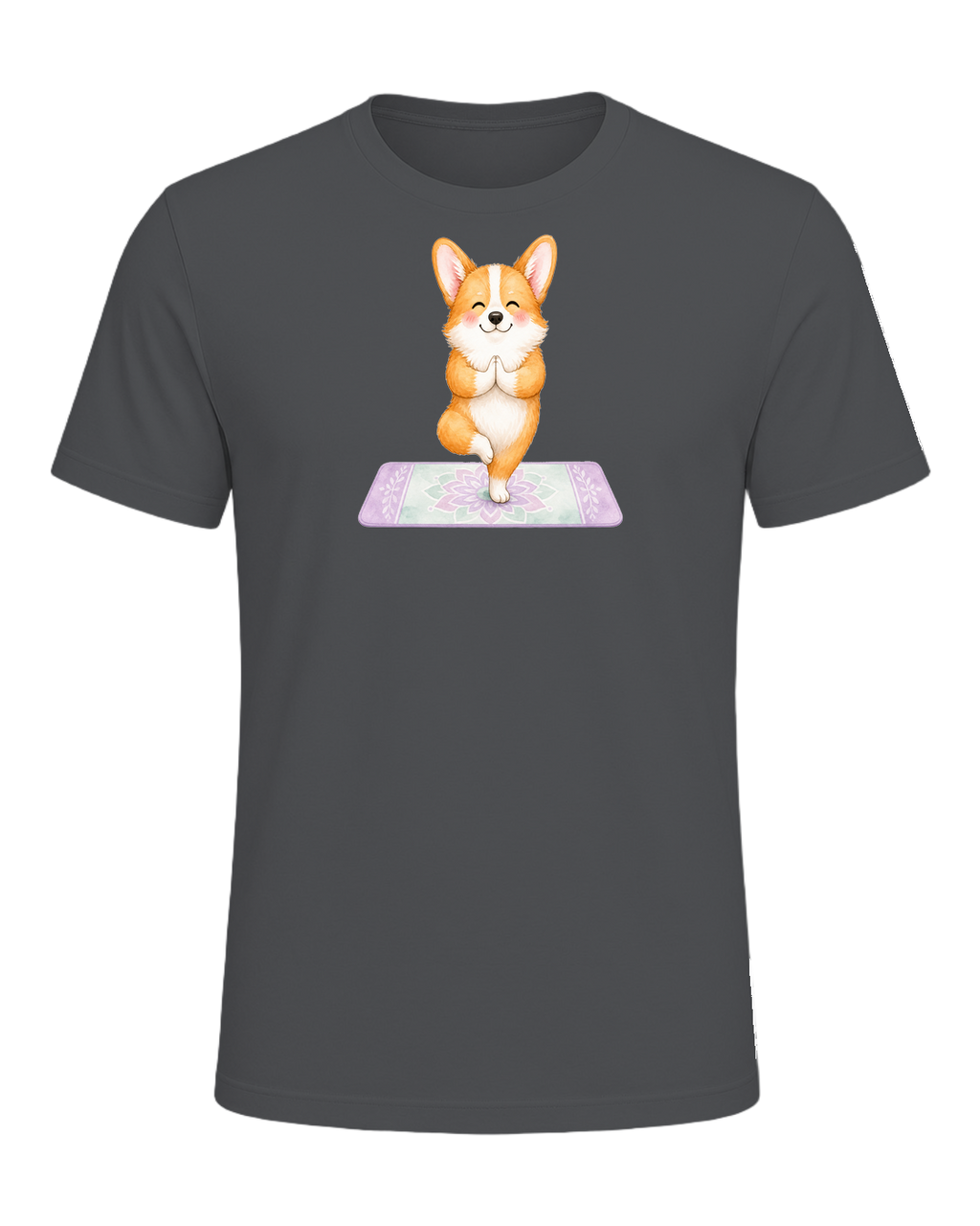 Corgi + Yoga — Asphalt