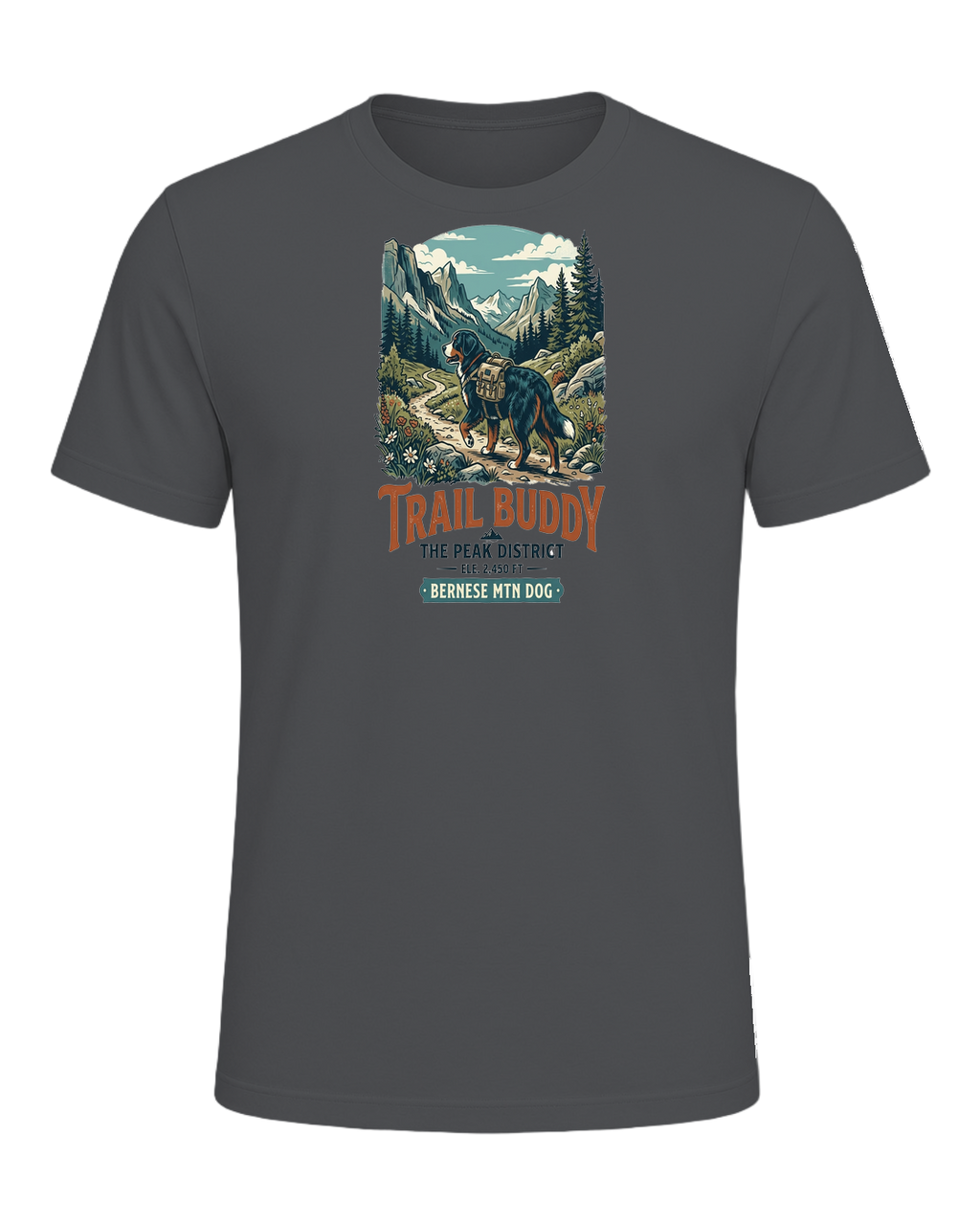 Bernese Mountain Dog Hiking — Asphalt