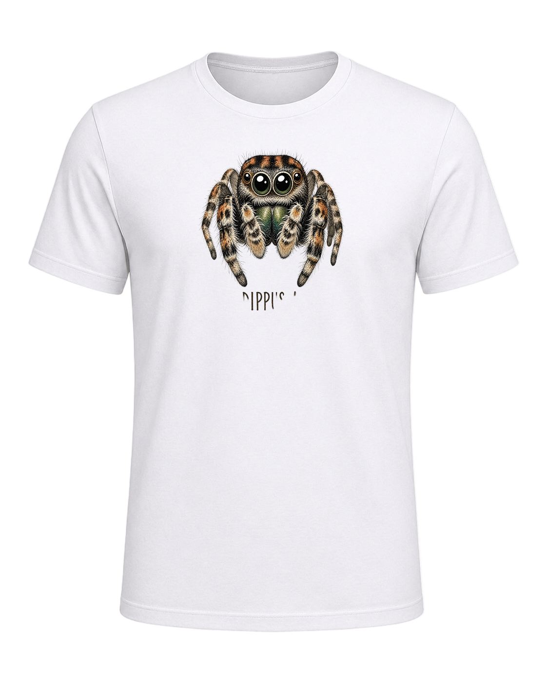 Jumping Spider Close-up Art — White