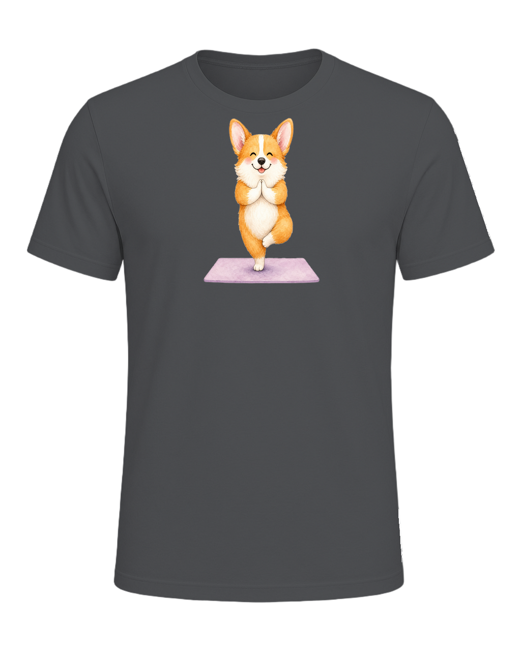Corgi + Yoga — Asphalt