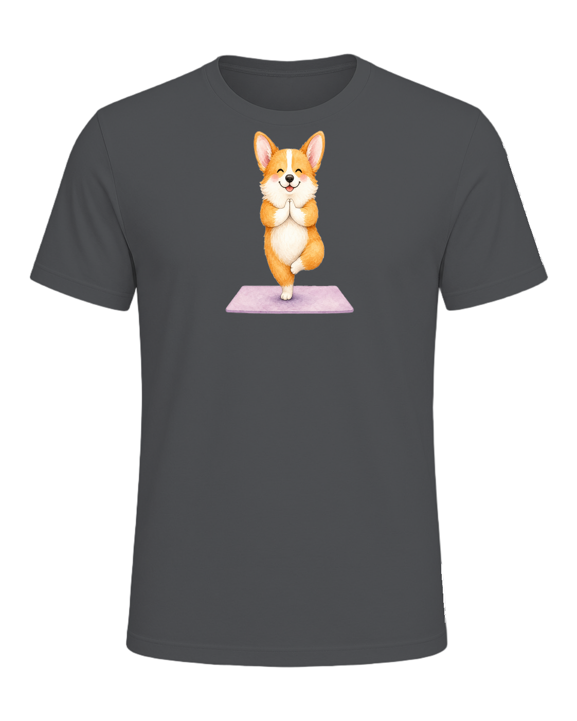 Corgi + Yoga — Asphalt