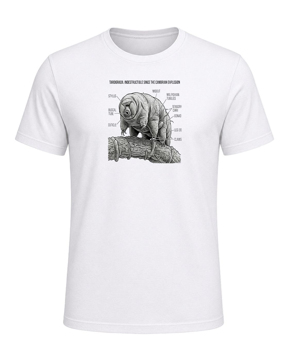 Tardigrade Science Nerd — White