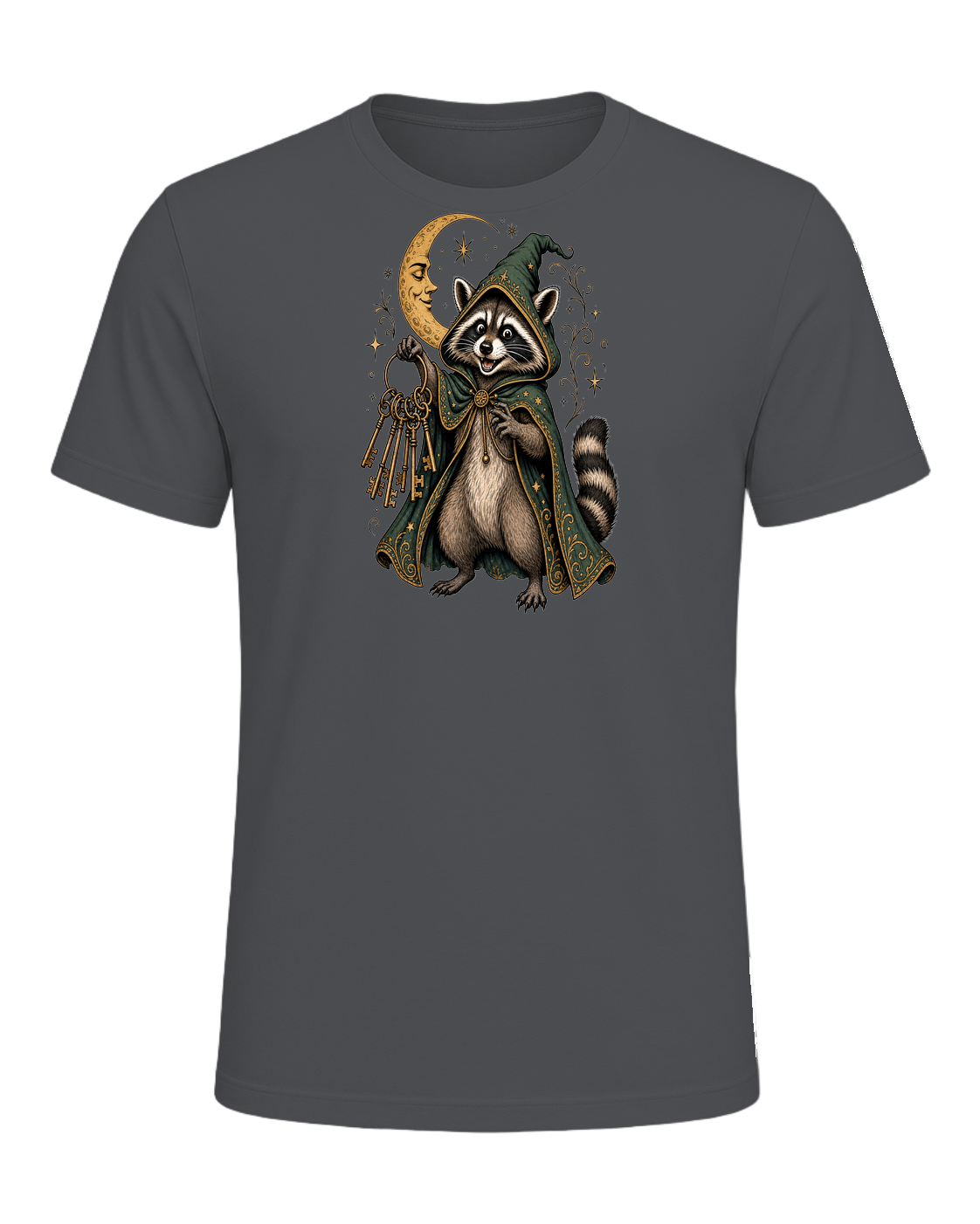 Raccoon Wizard Energy — Asphalt